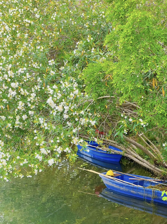A Community Sports & Nature Hub – Minhang Sports Park, Shanghai