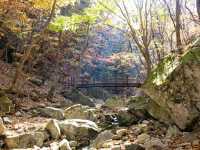 Rocky Trails & Hidden Cloud