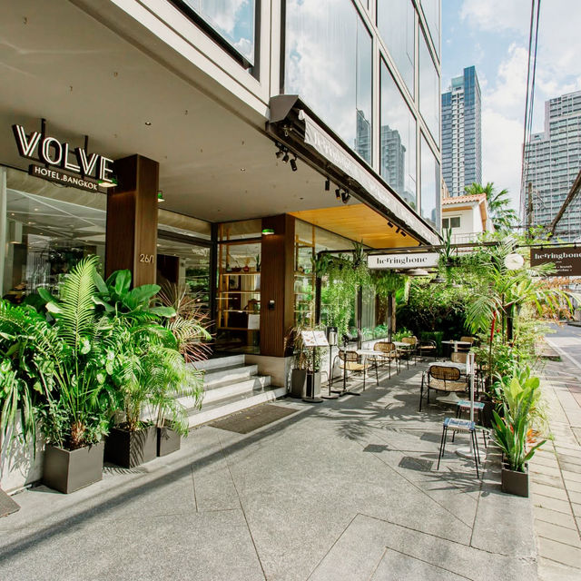 A Boutique Haven for the Modern Explorer