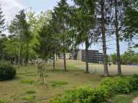 해외여행 일본 삿포로 여행 중 들린 Midorigaoka Park