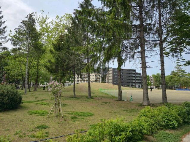 해외여행 일본 삿포로 여행 중 들린 Midorigaoka Park
