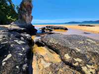 Totaranui Beach