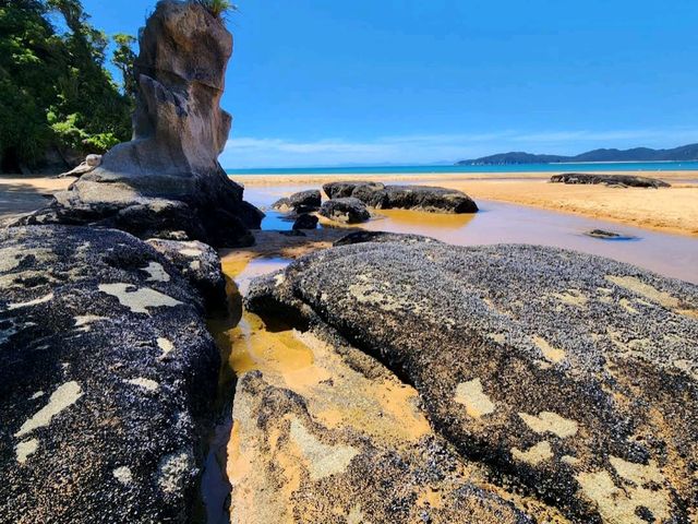 Totaranui Beach