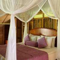 A Timeless Retreat Surrounded by Nature