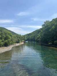 🎯【北海道・支笏湖】“水深日本一”の透明湖、自然散策とカフェ時間