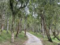 Good food n contact with nature