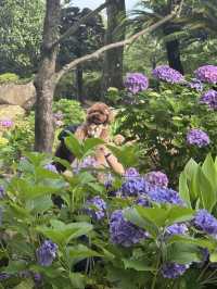 【神奈川】ワンちゃんと行ける紫陽花スポット！