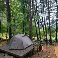 Forest Feels & Quiet Trails, Chukryeongsan Escape