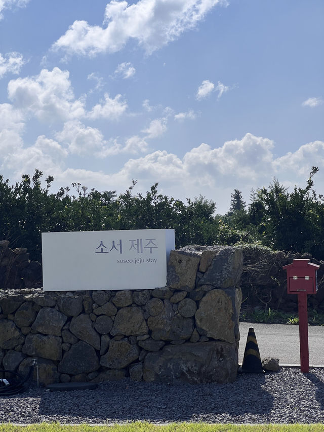 제주도 숙소 소서제주🏡🌅