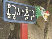 韓國🇰🇷 - 釜山最美寺廟海東龍宮寺
