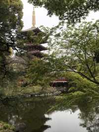 【東京　浅草寺と伝法院庭園、にぎわう寺町を歩く】