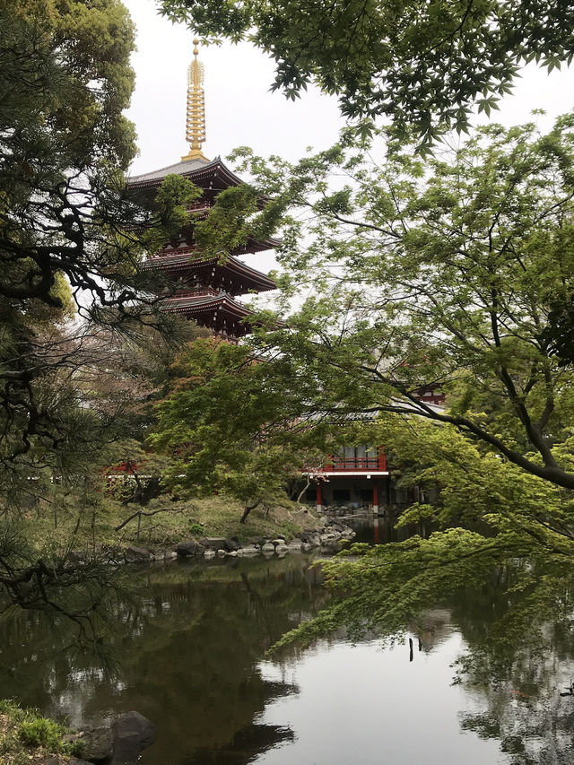 【東京　浅草寺と伝法院庭園、にぎわう寺町を歩く】