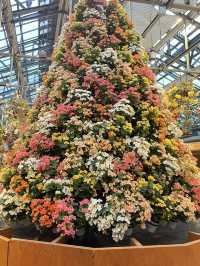 🌟 รีวิว: สวนดอกไม้ในนาบะ (Nabana no Sato)