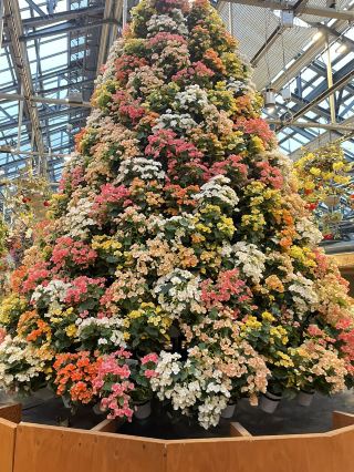花卉公園Nabana no Sato的評價