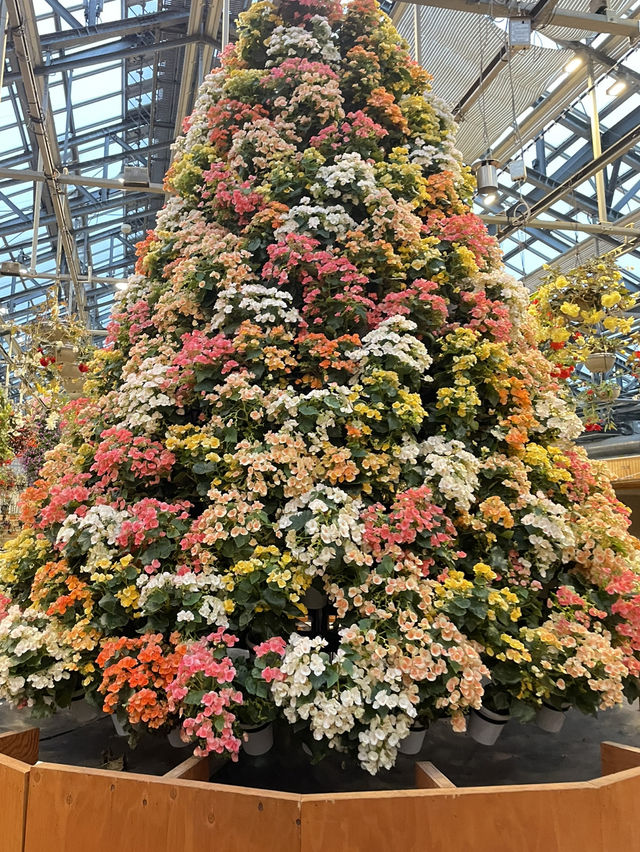 🌟 รีวิว: สวนดอกไม้ในนาบะ (Nabana no Sato)