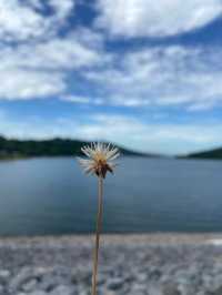 เขื่อนลำตะคอง