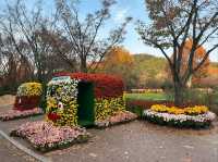 Green Escape at Daegu Arboretum
