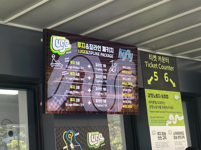 Skyline Luge Busan: The Perfect Blend of Speed and Fun! 🎢🏎️