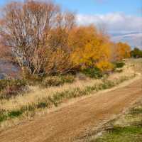 Halfway to Everywhere: Stunning Sights at Lake Dunstan and the 45th Parallel!