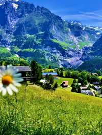 สวิตเซอร์แลนด์🇨🇭