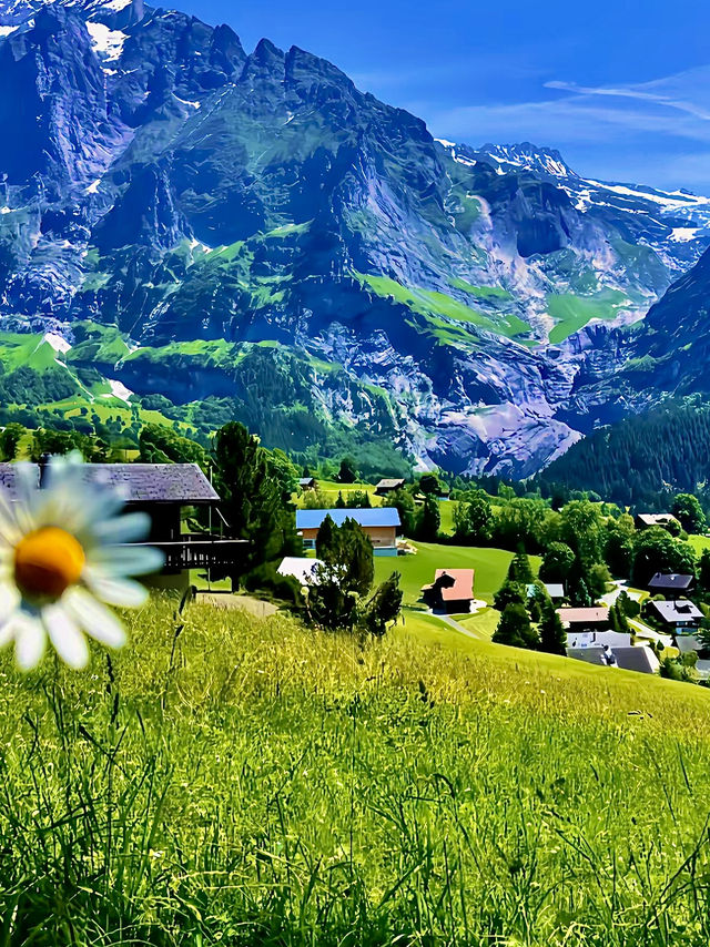 สวิตเซอร์แลนด์🇨🇭