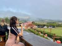 Yun Lai Viewpoint➖Misty Mountains and Tea Mornings 🌫️