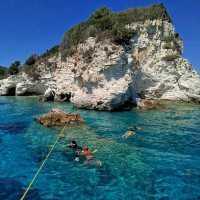 Paxos & Antipaxos