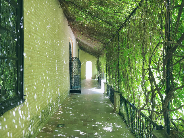 【スペイン】アンダルシアの宝石！セビリア・アルカサルのまばゆい時間🇪🇸🌿