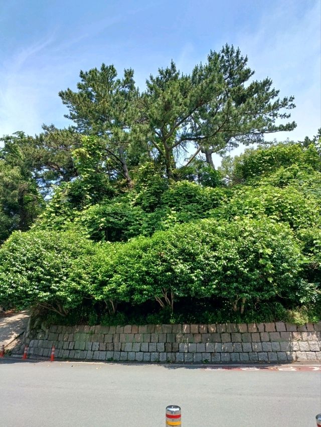둘만 아는 풍경이 있는 연인의 하루