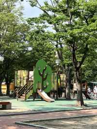 공원의 이모저모