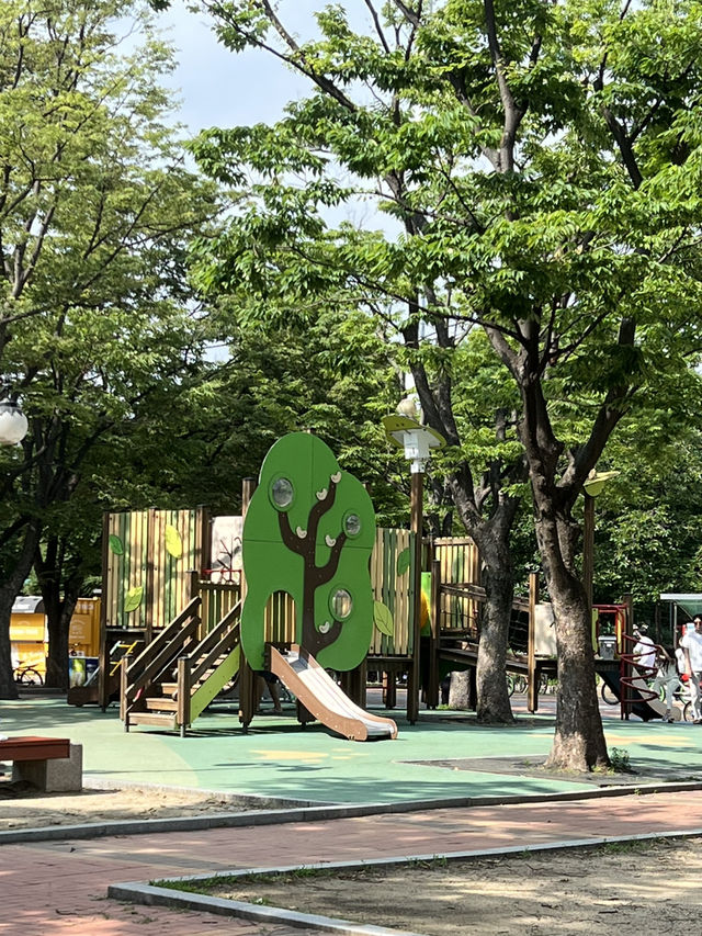 공원의 이모저모