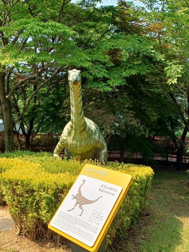 바다와 숲을 품은 데크 산책로, 온 가족 힐링 산책길 🌿🪑