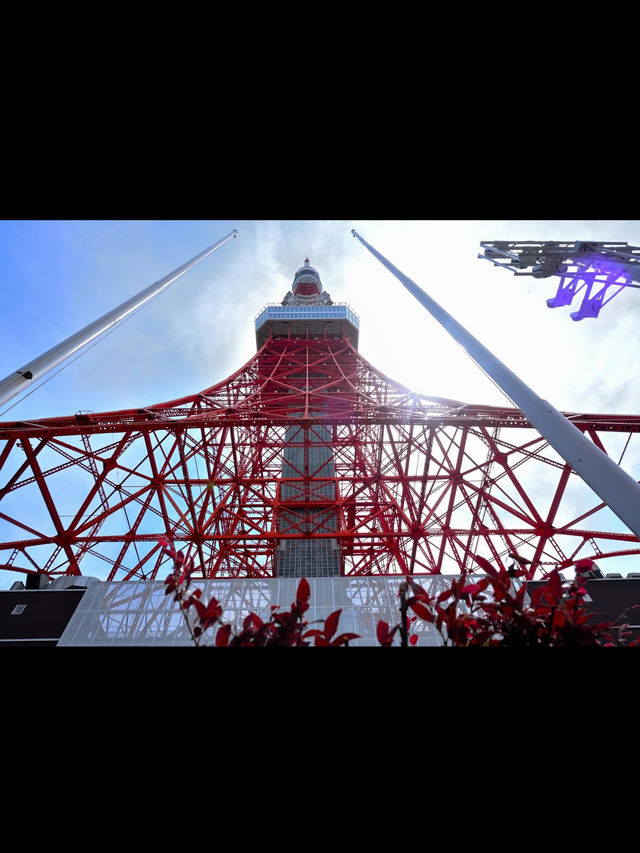 東京 東京タワー 🗼✨