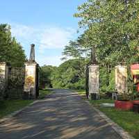 Bukit Brown Cemetery (Free historical walking site)
