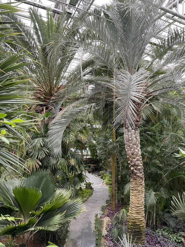 시원한 실내에서 이국적인 식물구경 어때요🌴