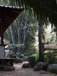 คาเฟ่ ลืมลืน อิน น่าน Luem Luen in Nan