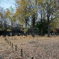 Yoyogi Park