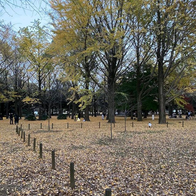 Yoyogi Park