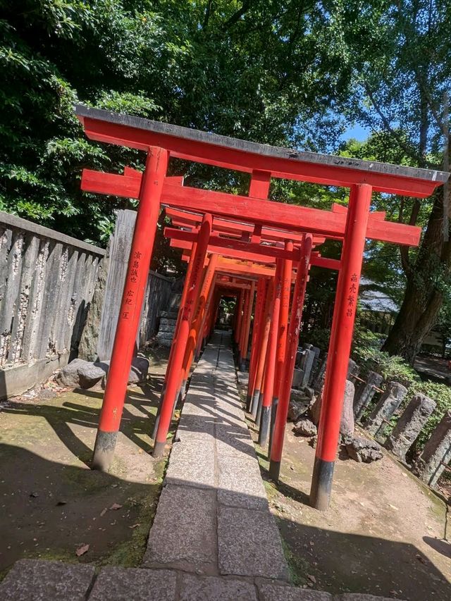 Nezu Shrine (Bunkyo)