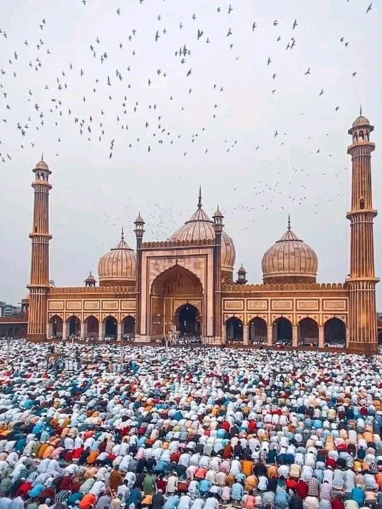 🕌 Jama Masjid, Delhi – A Spiritual Marvel in the Heart of Delhi 🌙
