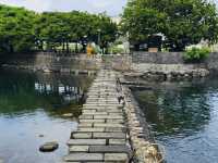 A Convenient Green Oasis Near Jeju City