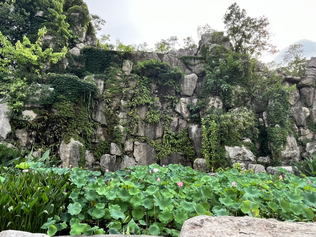 🌿☀️ Slow down and soak up the vibes at Chengdu People’s Park 人民公园