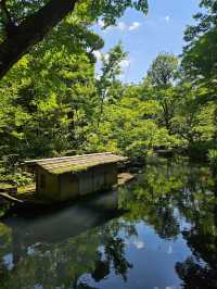 Nezu Museum: Tokyo’s Hidden Garden of Art