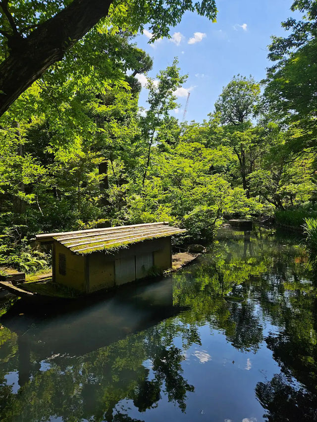 Nezu Museum: Tokyo’s Hidden Garden of Art