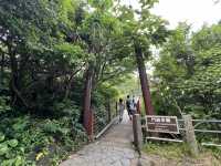 城崎海岸 門脇吊橋 伊豆特色景點