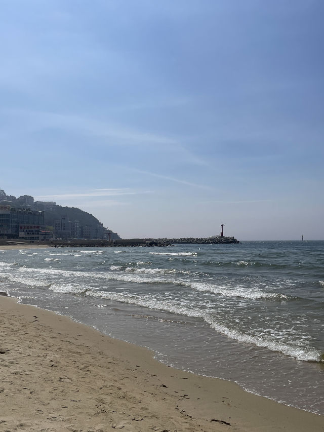 한여름의 열기를 시원하게 날려줄 부산 해운대💙💙