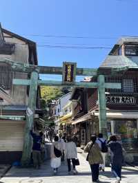🌊⛩️🐾 Enoshima – Island of Shrines, Cats, and Sea Breeze