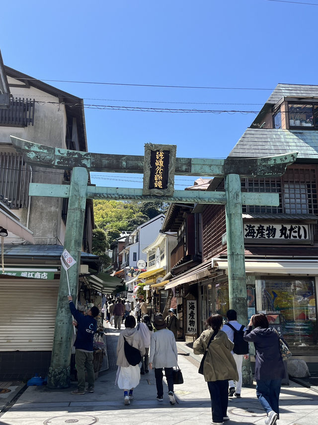 🌊⛩️🐾 Enoshima – Island of Shrines, Cats, and Sea Breeze