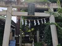 Ditch Tokyo Crowds: Discover Edo-Era Charm in Kawagoe! 🏮🚃