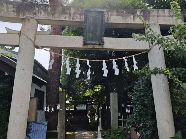 Ditch Tokyo Crowds: Discover Edo-Era Charm in Kawagoe! 🏮🚃